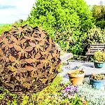 شقة Les Papillons De L'eau D'heure - Pres Des Lacs Walcourt