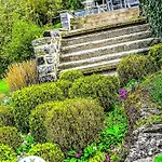 Les Papillons De L'eau D'heure - Pres Des Lacs