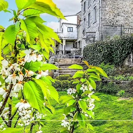 Les Papillons De L'eau D'heure - Pres Des Lacs