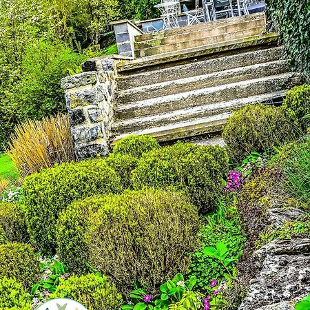 Les Papillons De L'eau D'heure - Pres Des Lacs