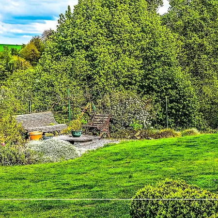 Les Papillons De L'eau D'heure - Pres Des Lacs *